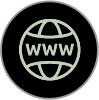 Circular icon featuring a globe symbol with the letters 'www' inside it.